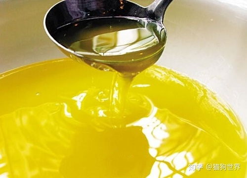深耕品質(zhì)，賦能品牌 探尋中國優(yōu)質(zhì)寵物食品OEM代工與供應(yīng)鏈管理服務(wù)